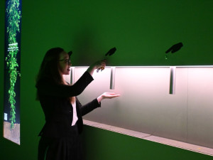 Pivovar otevřel expozici věnovanou surovinám, můžete je očichat, osahat i ochutnat