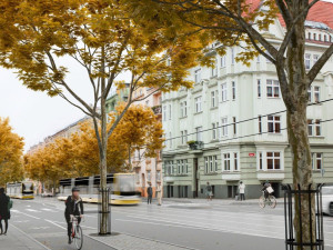 Klatovská třída se zazelená, město plánuje vrátit ulici její důstojný městský ráz