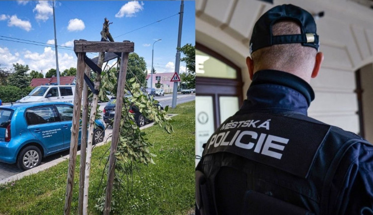 Opilý Tarzan opakovaně řádil na Doubravce. Urážel chodce, zlomil strom a útočil na zastávku MHD