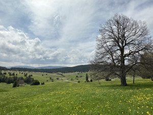 V těchto místech stála zaniklá obec Zhůří