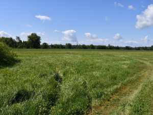 Začíná stavba městského úseku cyklostezky z Plzně – Malesic do Města Touškova