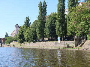 Na tomto místě obvykle bývají desítky labutí