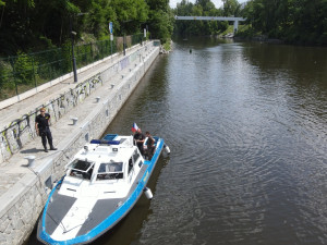 Z centra Prahy záhadně zmizelo 150 labutí. Plzeňští experti pátrají po jejich osudu
