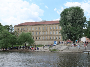 Z centra Prahy záhadně zmizelo 150 labutí. Plzeňští experti pátrají po jejich osudu