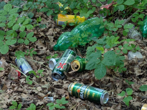 Zapařený pytel mrkve a stříkačky, Papírenský park znovu zaplňují odpadky