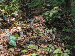 Zapařený pytel mrkve a stříkačky, Papírenský park znovu zaplňují odpadky