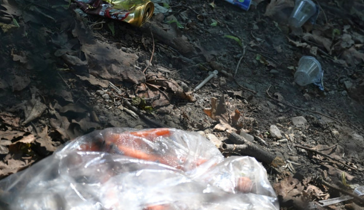 Zapařený pytel mrkve a stříkačky, Papírenský park znovu zaplňují odpadky