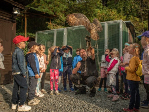 Další dva miliony poskytne Plzeň na nově budovanou stavbu záchranné stanice živočichů