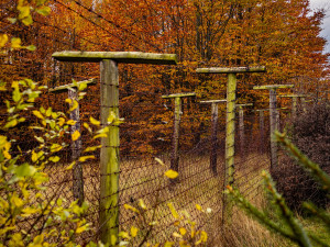 Zdroj: Matouš Horáček