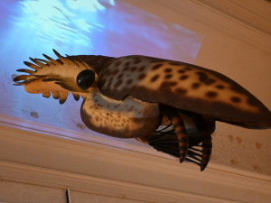 Nová výstava ukazuje, jak vypadal život na území Česka před 440 miliony let