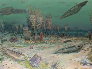 Nová výstava ukazuje, jak vypadal život na území Česka před 440 miliony let