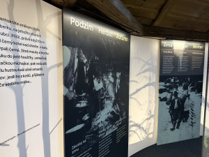 Legendární hájovna na Březníku leží v části Šumavy s nejdrsnějším počasím. Teď láká na novou výstavu