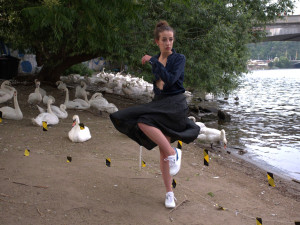 Labutě byly velkou atrakcí i pro fotografy