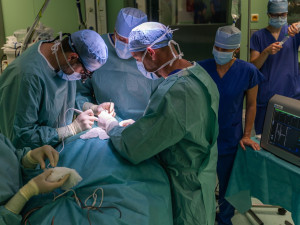 Nový přístroj ve Stodské nemocnici ohlídá hlasivky pacientů při operaci štítné žlázy