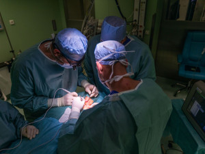 Nový přístroj ve Stodské nemocnici ohlídá hlasivky pacientů při operaci štítné žlázy