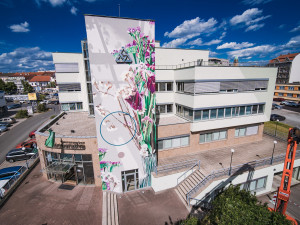 Zdi, pilíře a fasády v Plzni pokryla desítka děl umělců z celého světa