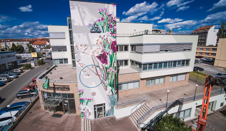 Zdi, pilíře a fasády v Plzni pokryla desítka děl umělců z celého světa