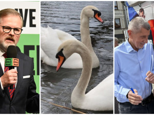 ČERVEN 2025: Emoce na politických debatách i záhada zmizelých labutí