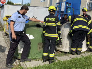 Policie dopadla muže, který vyhodil koťata do kontejneru na sklo. Všechna uhynula