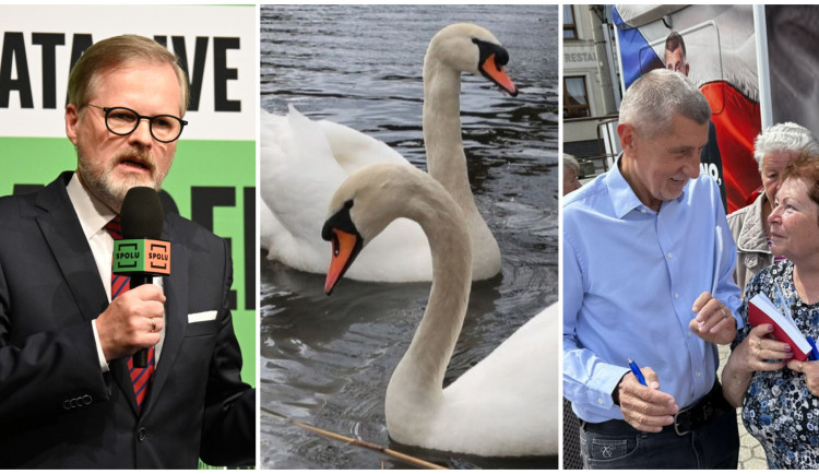ČERVEN 2025: Emoce na politických debatách i záhada zmizelých labutí
