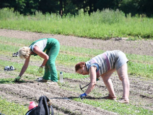 V lesní školce využívají speciální systém závlahy, stromy jsou pak odolnější