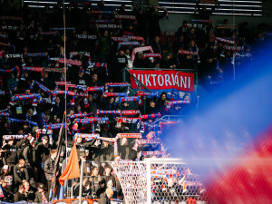 Index fotbalových fanoušků: Kam se nejvíc vyplatí chodit na fotbal? Třeba do Plzně