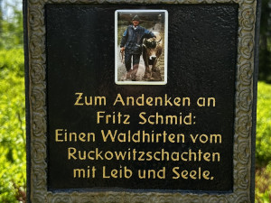 Vypravte se na obří vysokohorskou pastvinu těsně za česko-německou hranici v Bavorském lese