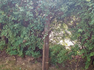 Část zdemolované lavičky