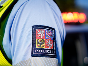 Dvě bitky mezi účastníky festivalu romské kultury ukončil zásah policie