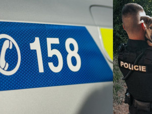 Nechtěné štěně německého ovčáka se podařilo vysvobodit ze sklepa. Už má nový domov