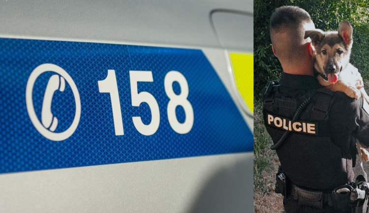 Nechtěné štěně německého ovčáka se podařilo vysvobodit ze sklepa. Už má nový domov