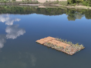 Unikátní plovoucí ostrov pomůže desítkám vzácných druhů ptáků, třeba potápkám nebo motákům
