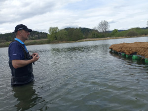 Unikátní plovoucí ostrov pomůže desítkám vzácných druhů ptáků, třeba potápkám nebo motákům
