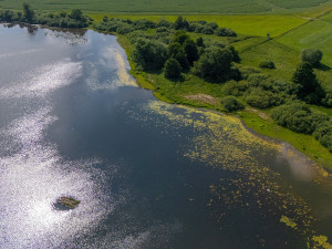 Unikátní plovoucí ostrov pomůže desítkám vzácných druhů ptáků, třeba potápkám nebo motákům