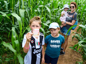 Unikátní bludiště v kukuřici má bezmála dva kilometry chodeb a ukrývá řadu hádanek