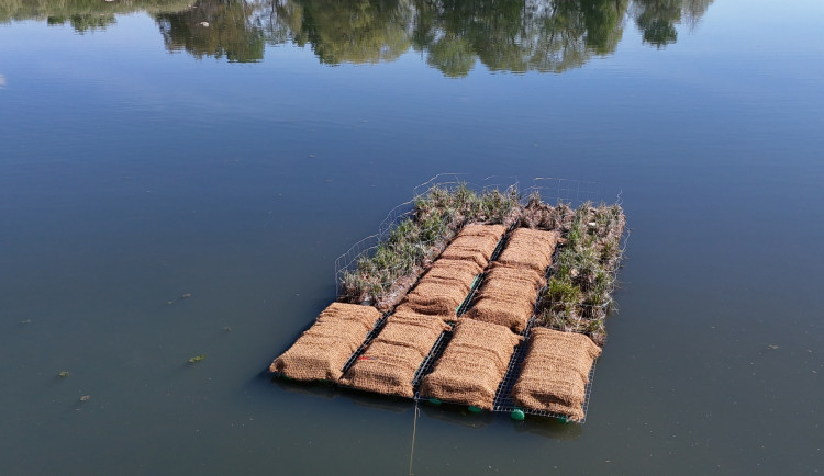 Unikátní plovoucí ostrov pomůže desítkám vzácných druhů ptáků, třeba potápkám nebo motákům