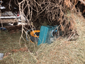 Dvě krádeže. Podezřelý schovával nářadí po parku, další tvrdil, že si jen prohlíží sklepy