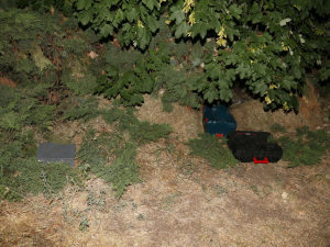 Dvě krádeže. Podezřelý schovával nářadí po parku, další tvrdil, že si jen prohlíží sklepy