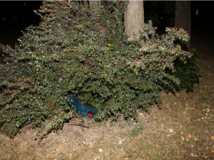 Dvě krádeže. Podezřelý schovával nářadí po parku, další tvrdil, že si jen prohlíží sklepy