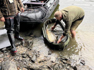 Další policejní razie mezi rybáři. Na březích vyhlášené přehrady Hracholusky rybařilo i 25 Ukrajinců
