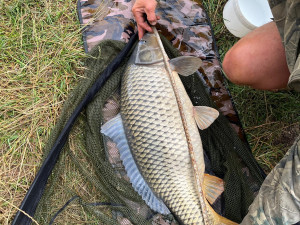 Další policejní razie mezi rybáři. Na březích vyhlášené přehrady Hracholusky rybařilo i 25 Ukrajinců