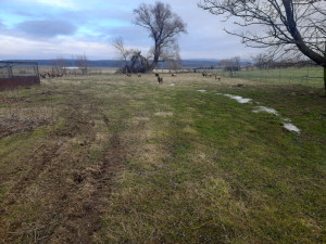 Město věří, že nový objekt pro dětskou skupinu přitáhne mladé rodiny, stavba vyjde na 21 milionů