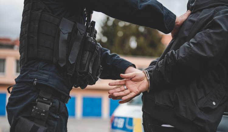 Pokud nepřijmete trestní oznámení na vládu, zabiju děti. Vyhrožoval muž na lince 158