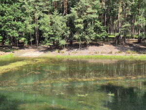 Nová mobilní aplikace bojuje proti overturismu, představuje zajímavá místa a rozptyluje návštěvníky do více oblastí