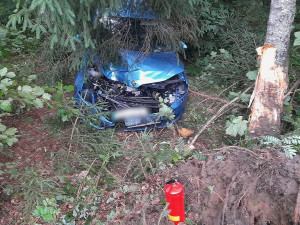 Auto vyletělo ze silnice a po děsivém nárazu vyvrátilo strom. Řidič za jízdy usnul