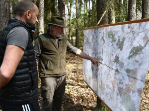 Budování lesních tůněk, políčka pro zvěř i těžba dřeva, městské lesy mají plán na deset let