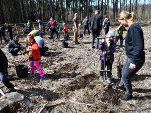 Budování lesních tůněk, políčka pro zvěř i těžba dřeva, městské lesy mají plán na deset let
