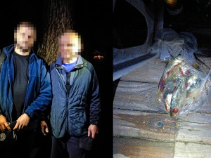 Cizinci pytlačili v noci u rybníka. Tvrdili, že jen relaxují s pivem na lehátkách a k prutům se neznali