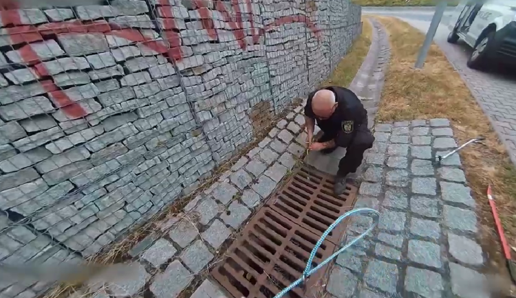 Za tohle by se ani MacGyver nemusel stydět, strážníci díky improvizaci zachránili kachňata