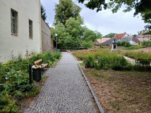 V oblíbeném parku se zřítila stará a statná lípa, dopadla na klášterní zeď